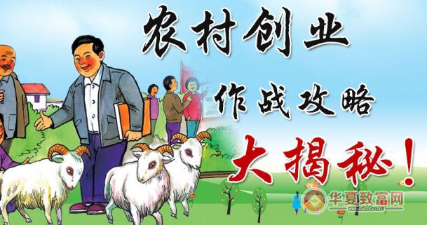 农村创业致富好点子分享
